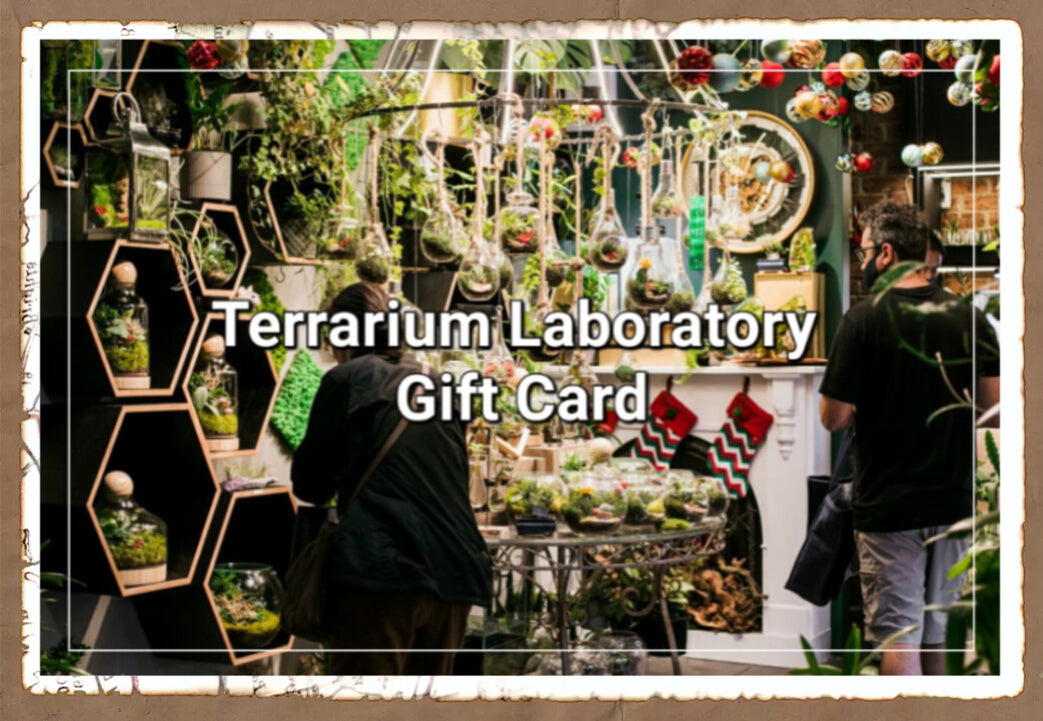 Terrarium Laboratory Gift Card