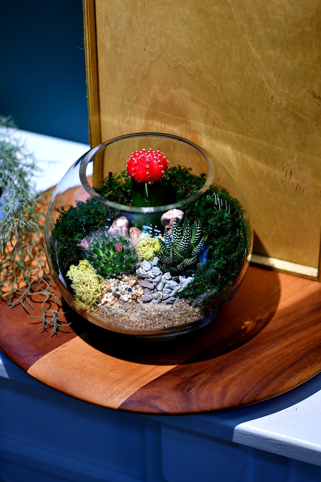 Fishbowl Terrariums (Ready-made or DIY)
