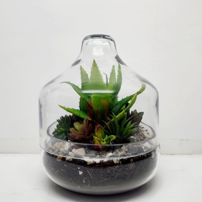 Terrarium Glassware Range - Dome eggs