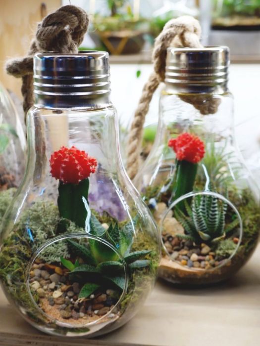 Terrarium Glassware Range - Hanging light bulbs (flat bottom)