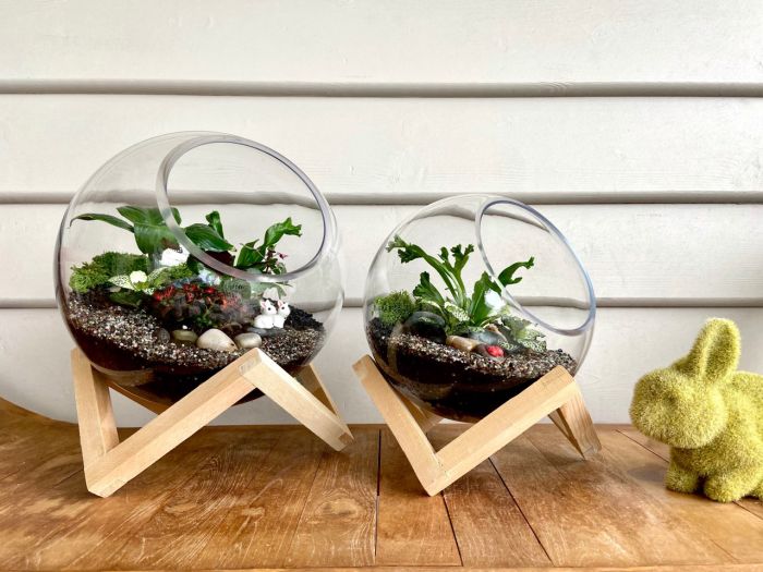 Terrarium Glassware Range - Bowl on base