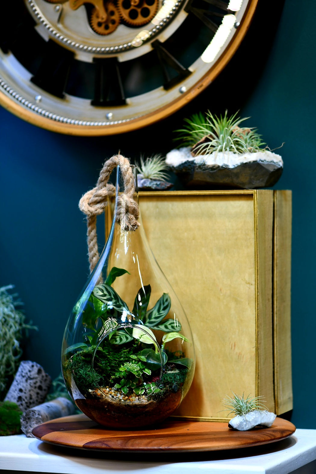 Large Teardrop Terrariums (Ready-made only)