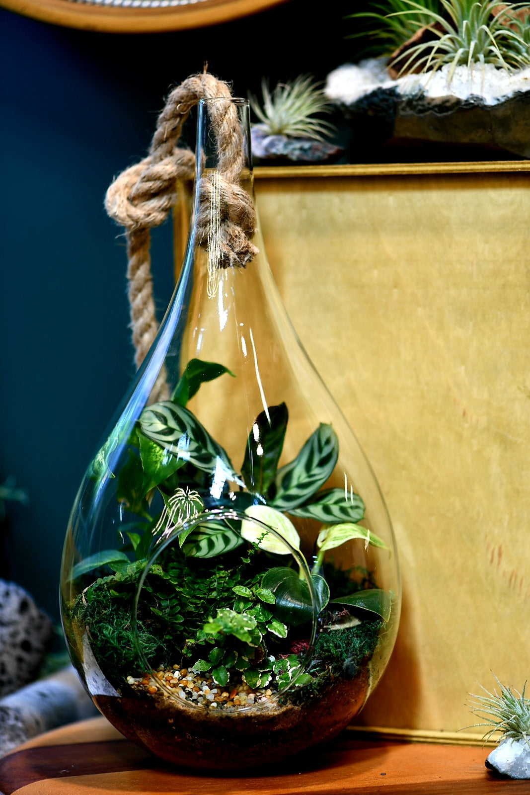 Large Teardrop Terrariums (Ready-made only)