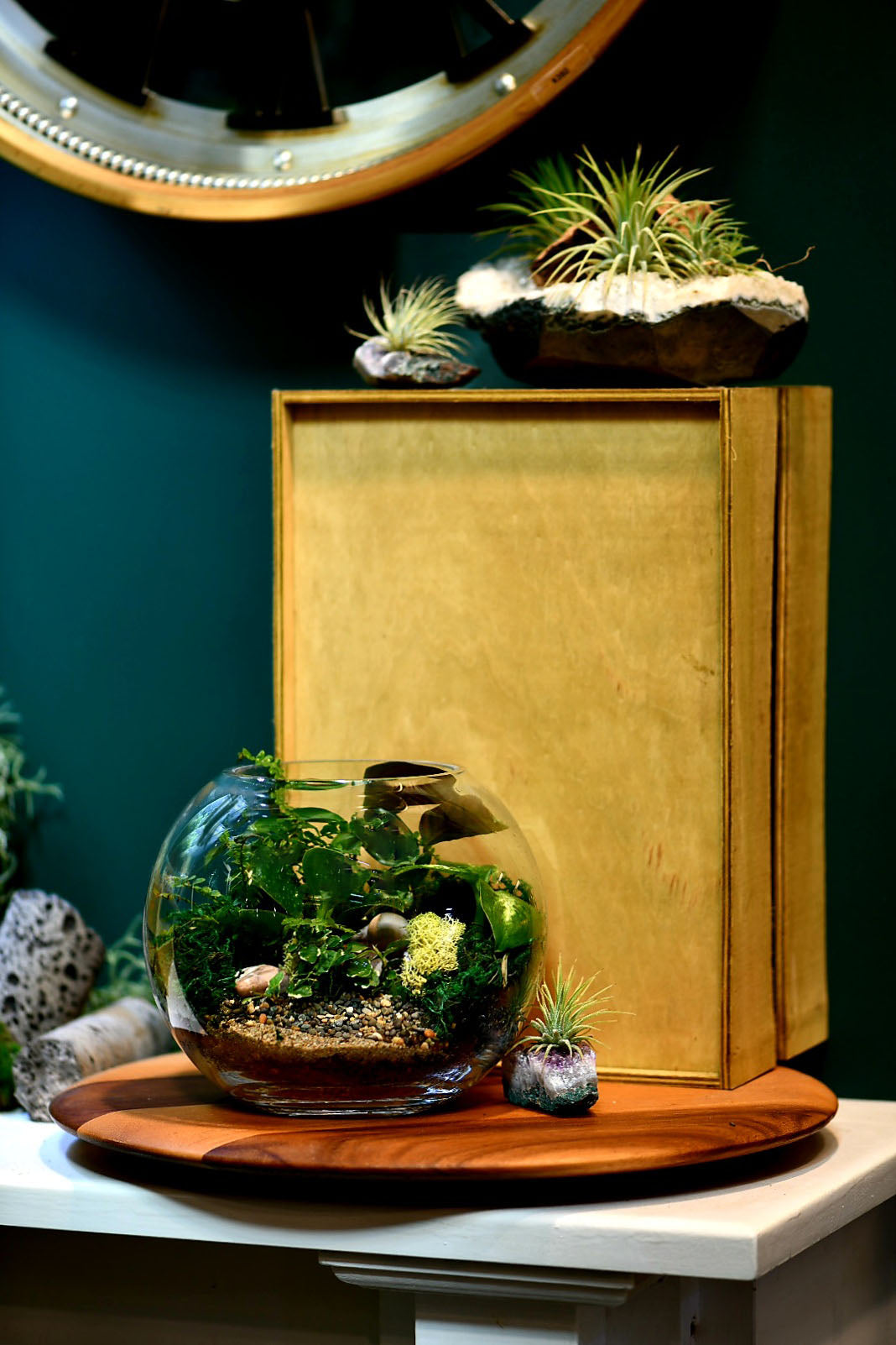 Fishbowl Terrariums (Ready-made or DIY)