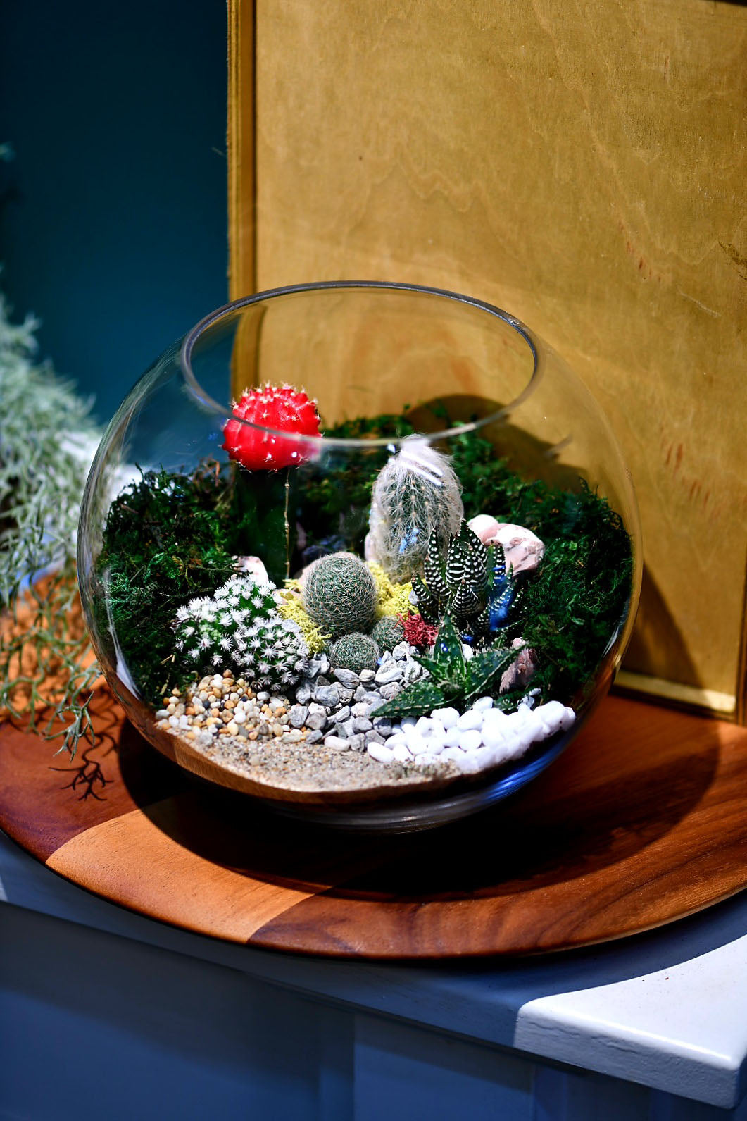 Medium fishbowl terrarium 
